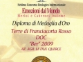 medaglia_oro-2011